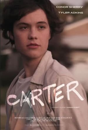 Carter (2022) Hindi Dual Audio HDRip | Hindi Dubbed Movie – 480p