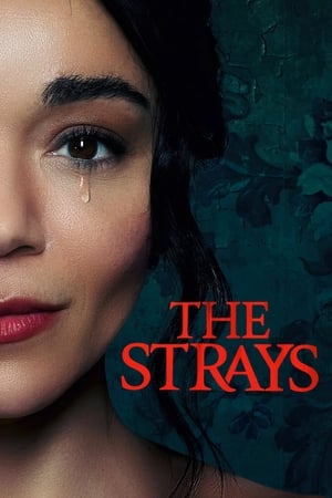 The Strays 2023 Hindi Dual Audio HDRip | Hindi Dubbed Movie – 480p